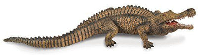 

Collecta sarcosuchus(Brown)