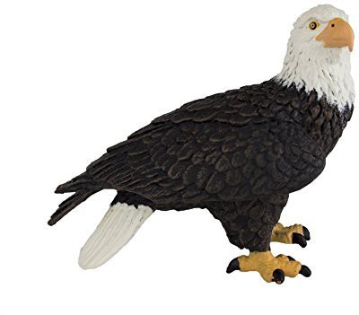 

Safari Ltd Wings Of The World Bald Eagle(Multicolor)