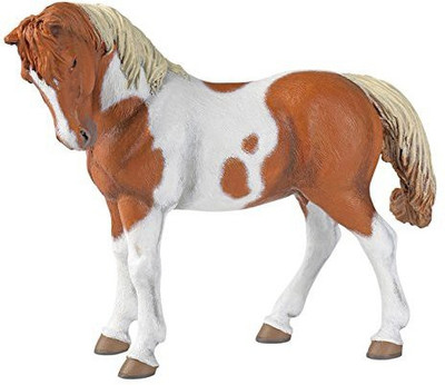 

Papo Pinto Mare(Multicolor)