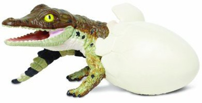 

Safari Ltd incredible creatures crocodile hatchling(Multicolor)