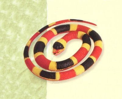 

Wild Republic Rubber Coral Snake(Multicolor)