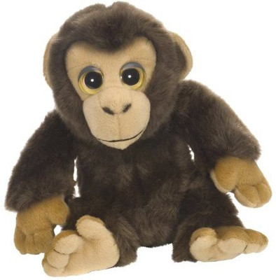 

Wild Republic Wild Watchers 7" Chimp(Brown)