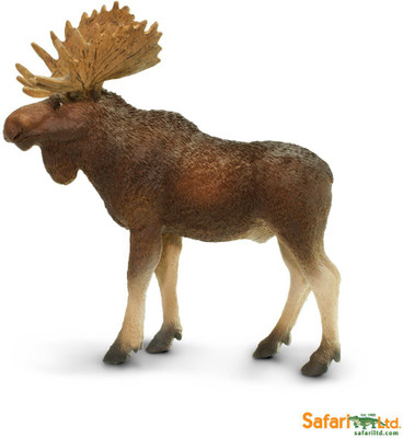 

Safari Ltd Ws Naw Bull Moose(Multicolor)