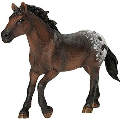 

Schleich Appaloosa Stallion Toy Figure(Multicolor)
