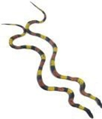 

Ps Pkg (2) 17" Long Poisonous Realistic Rubber Snakes.(Multicolor)