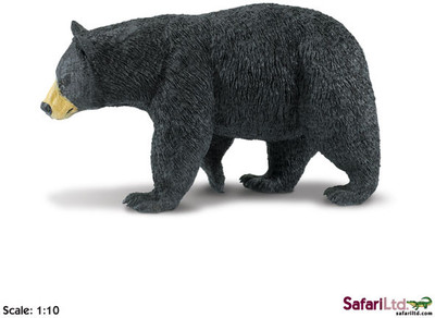 

Safari Ltd Ww Black Bear(Multicolor)