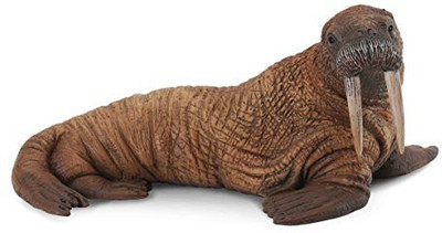 

Collecta Walrus(Brown)