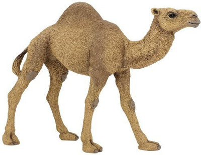 

Papo 50151 Dromedary(Brown)