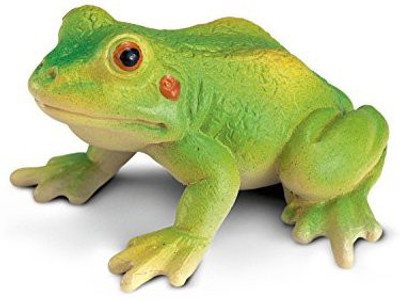 

Schleich Frog(Multicolor)