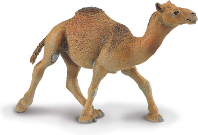

Safari Ltd WS Wildlife Dromedary Camel(Multicolor)