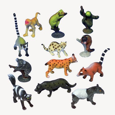 

US Toys Assorted Rain Forest Animal(Lot Of 12)(Multicolor)