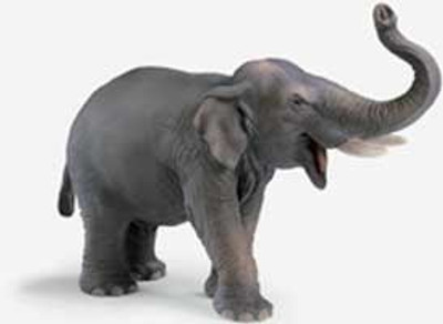 

Schleich Indian Elephant(Multicolor)
