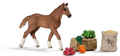 

Schleich Foal Eating Set(Multicolor)