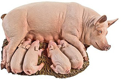 

Safari Ltd Farm Sow With Piglets(Beige)