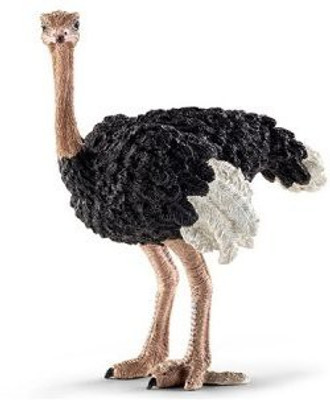 

Schleich Ostrich 14325(Multicolor)
