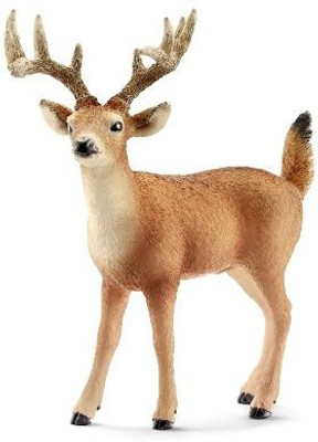 

Schleich White-Tailed Buck Toy Figure(Multicolor)