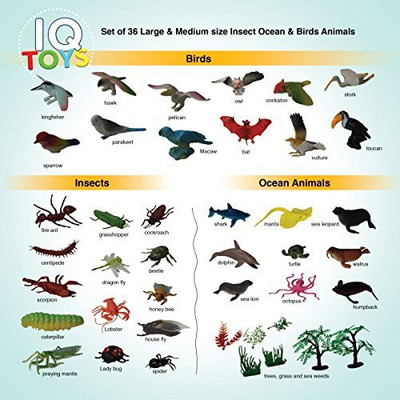 

IQ Toys Set Of 36 Large & Md Size Insect Ocean & Birds Animals(Multicolor)