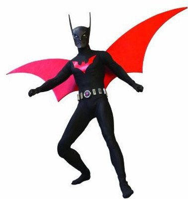 

DC Comics Batman Beyond 16 Scale Deluxe Collector(Multicolor)