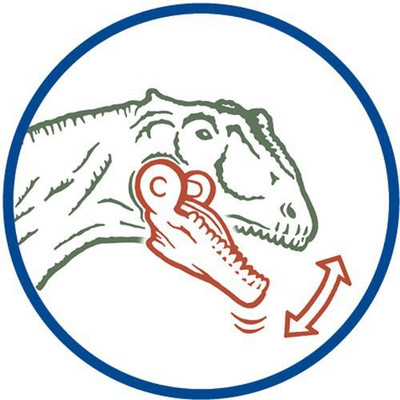 

Schleich allosaurus(Multicolor)