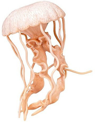 

Safari Ltd Jellyfish(Beige)
