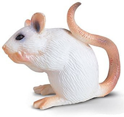 

Schleich White Mouse(Multicolor)