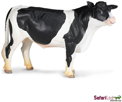 

Safari Ltd Sf Holstein Bull(Multicolor)