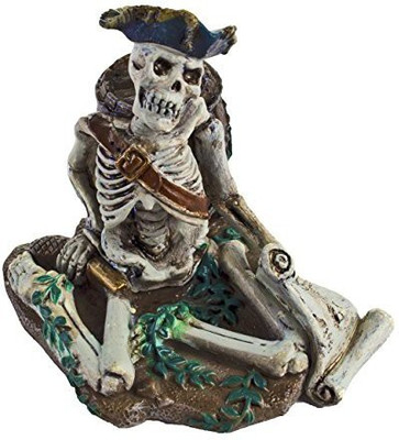 

Safari Ltd Sbp Pirate Skeleton(Multicolor)