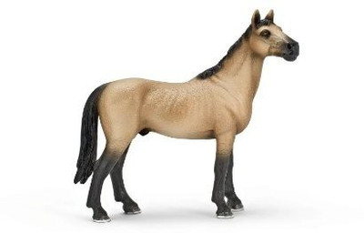 

Schleich Akhal-Teke Stallion Toy Figure(Multicolor)