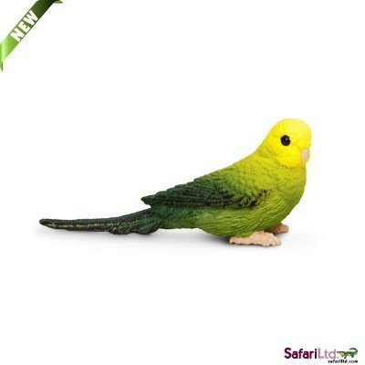 

Safari Ltd Wings Of The World Green Budgie(Multicolor)