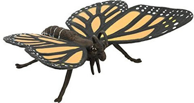 

Safari Ltd Hidden Kingdom Insects Monarch Butterfly Beautiful(Multicolor)
