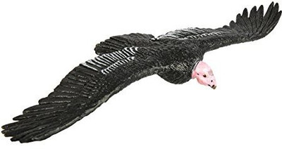 

Safari Ltd Wings Of The World California Condor Realistic Handpainted(Black)