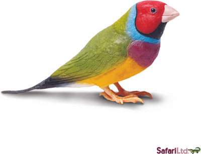 

Safari Ltd Ic Gouldian Finch(Multicolor)
