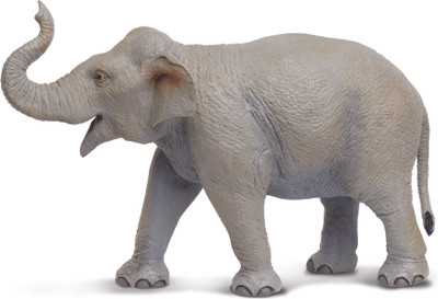 

Safari Ltd WW Asian Elephant(Multicolor)