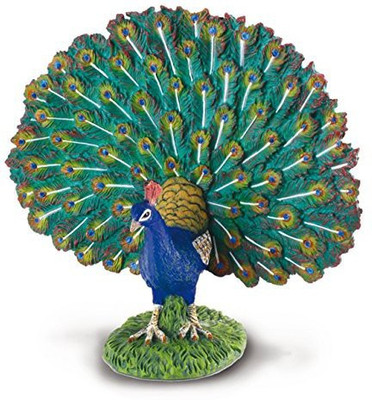

Collecta Peacock(Multicolor)