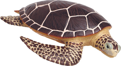 

Safari Ltd IC Sea Turtle(Multicolor)