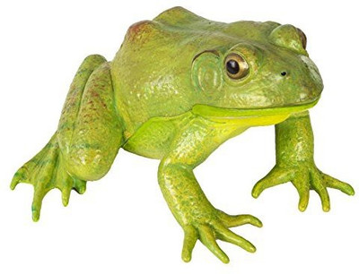 

Safari Ltd Incredible Creatures American Bullfrog(Multicolor)