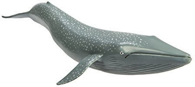 

Safari Ltd Wild Safari Sea Life Blue Whale(Multicolor)