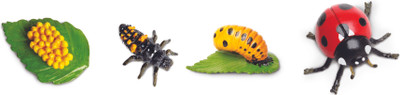 

Safari Ltd So Life Cycle Of A Ladybug(Multicolor)