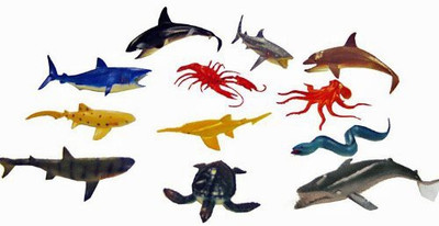 Rhode Island Novelty Ocean Sea Animal Creatures(Multicolor)