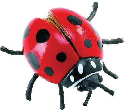 

Safari Ltd Hidden Kingdom Insects Ladybug Realistic Hand Painted(Multicolor)