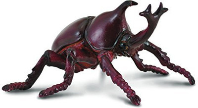 

Collecta Rhinoceros Beetle(Maroon)
