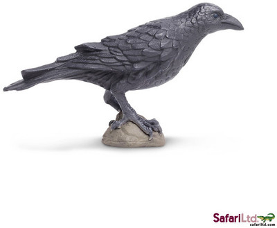 

Safari Ltd Wow Raven(Multicolor)