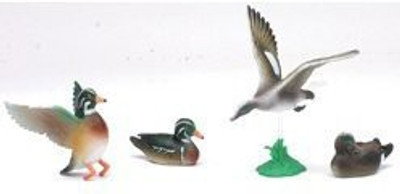 

New-Ray Wildlife Pintail Duck Set(Multicolor)
