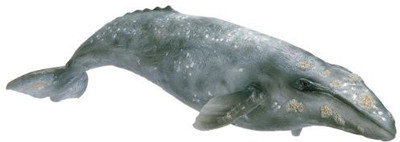 

Schleich Grey Whale(Grey)