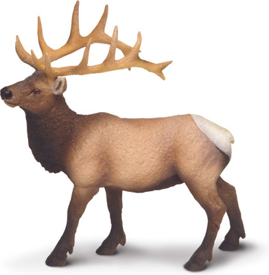 

Safari Ltd Ws Naw Elk Bull(Multicolor)