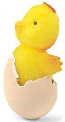 

GeoCentral Growing Pet Chicken Egg(Multicolor)
