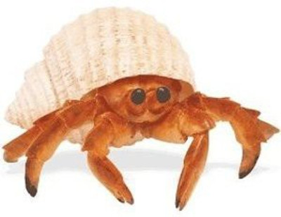 

Safari Ltd Incredible Creatures Hermit Crab(Multicolor)