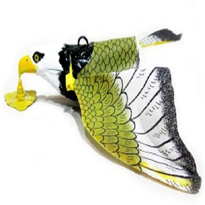 

Impex Revolve Fly Eagle (set of 2pcs)(Multicolor)