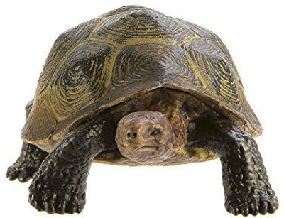 

Safari Ltd Wild North American Wildlife Desert Tortoise(Green)