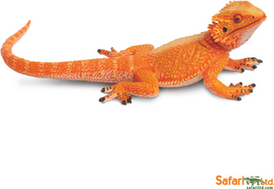 

Safari Ltd Bearded Dragon(Multicolor)